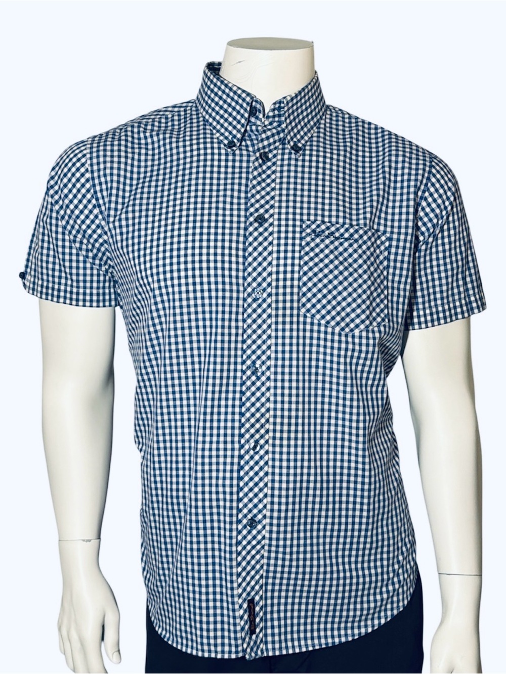 Ben Sherman Navy and White Gingham Short-Sleeve Button-Down Shirt